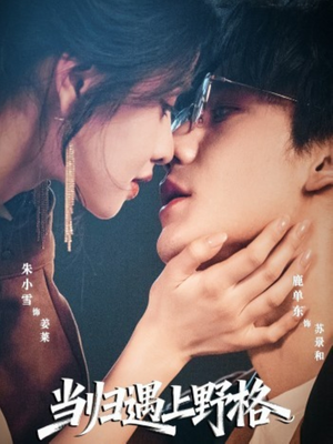 当归遇上野格(66集) 当归遇上野格(66集)第一集