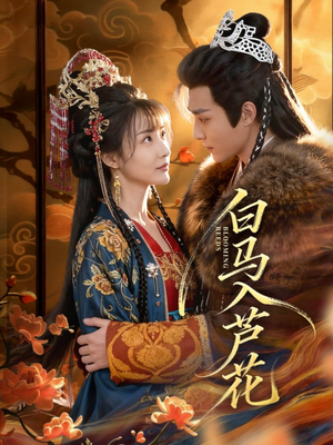白马入芦花(59集) 白马入芦花(59集)精彩短剧下载