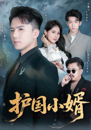 护国小婿(60集) 护国小婿(60集)温柔追捕短剧