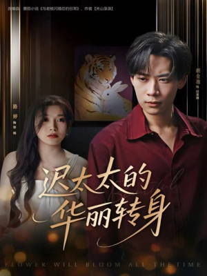 迟太太的华丽转身（80集）解说