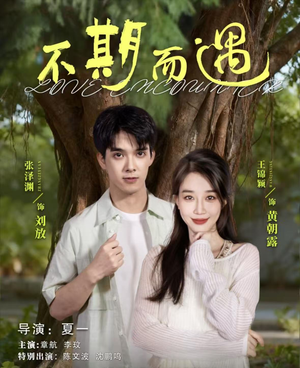 不期而遇(62集) 不期而遇(62集)全部免费看全集