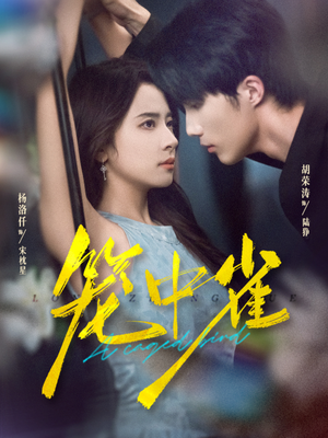 笼中雀(65集) 笼中雀(65集)女主角是谁