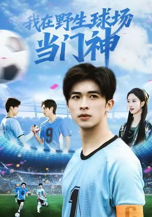 我在野生球场当门神（31集）免费看