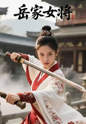 岳家女将(20集) 岳家女将(20集)口碑之选免费看
