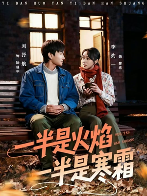 一半是火焰一半是寒霜（60集）百度网盘资源