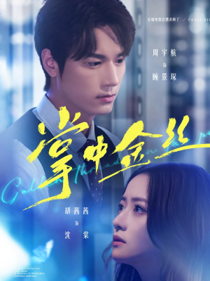 长姐她竟是隐藏大佬(60集) 长姐她竟是隐藏大佬(60集)正能量短剧分享