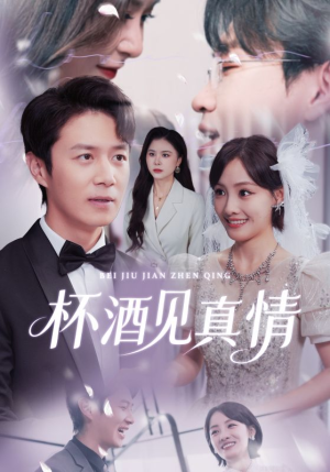 杯酒见真情(68集) 杯酒见真情(68集)海量短剧免费看