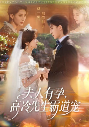 夫人有孕，高冷先生霸道宠（60集）最新热剧免费看