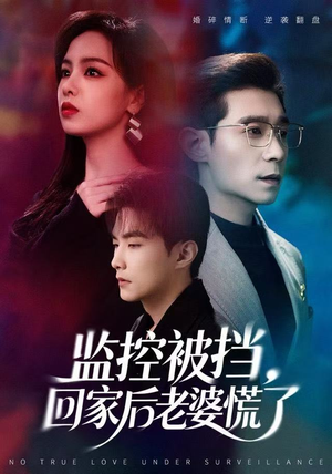 监控被挡,回家后老婆慌了(60集) 监控被挡,回家后老婆慌了(60集)热播古装短剧