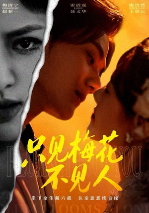 只见梅花不见人(63集) 只见梅花不见人(63集)完整版