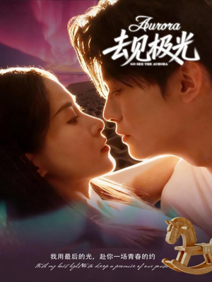 去见极光（60集）剧情简介