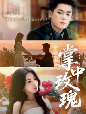 掌中玫瑰（60集）短剧热门推荐