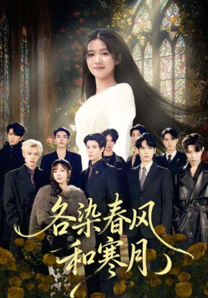 尘埃里的真千金（67集）短剧追到爽