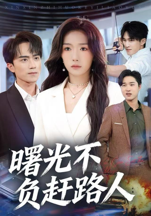 曙光不负赶路人（75集）短剧全集免费看