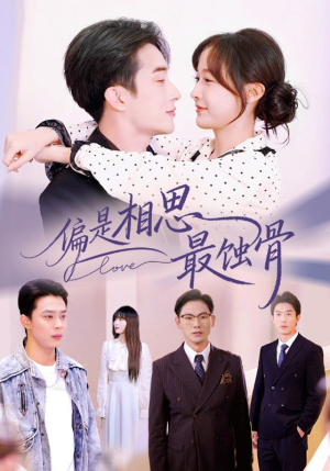 烬爱无归处（70集）在哪里可以看