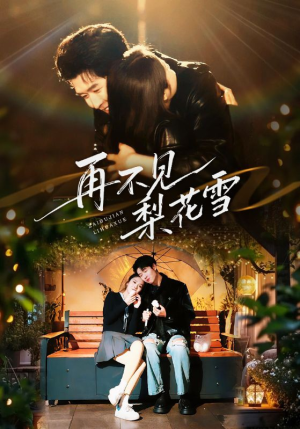 再不见梨花雪（70集）看精彩短剧