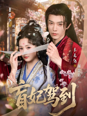 盲妃驾到（65集）全季一次看完