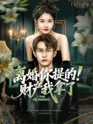 离婚你提的！财产我拿了（63集）短剧全集大结局