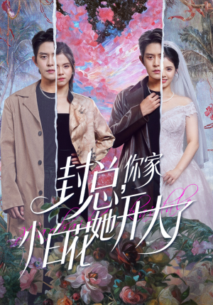 大佬你的牙粘口红了（60集）免费看全网短剧