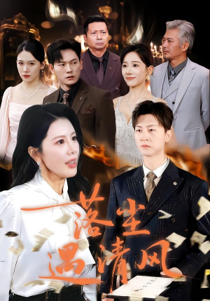 离婚而已（74集）好看吗