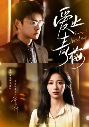 爱止青梅（60集）精彩短剧热播