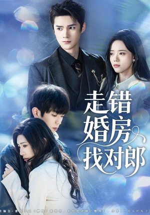 走错婚房找对郎（50集）一个短剧看全集