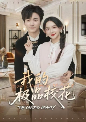 我的极品校花（80集）第一季