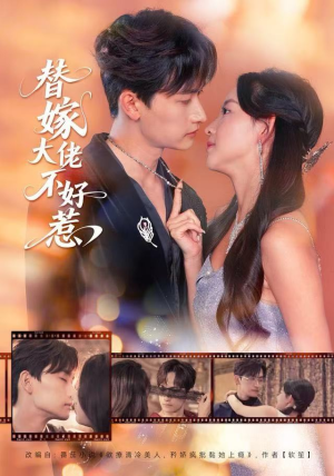 替嫁大佬不好惹（83集）在线免费观看