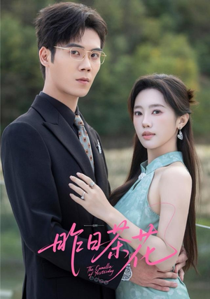 昨日茶花（56集）一起追短剧吧