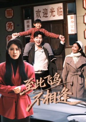 至此飞鸟不相逢(70集) 至此飞鸟不相逢(70集)战神短剧推荐