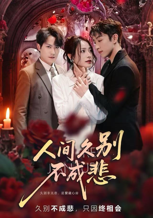 人间久别不成悲（80集）全集下载