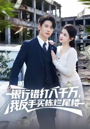 银行错打八千万，我反手买栋烂尾楼（81集）高清画质免费看