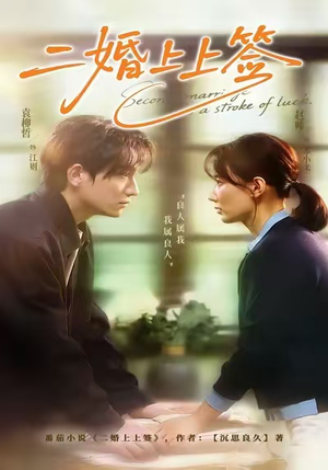 二婚上上签（71集）短剧全集抢先看