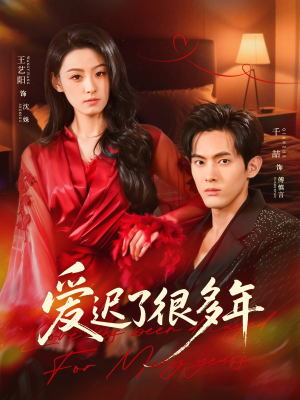 爱迟了很多年（73集）热门短剧抢先