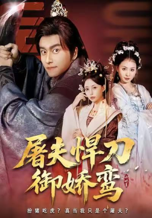 屠夫悍刀御娇鸾（81集）追短剧看全集