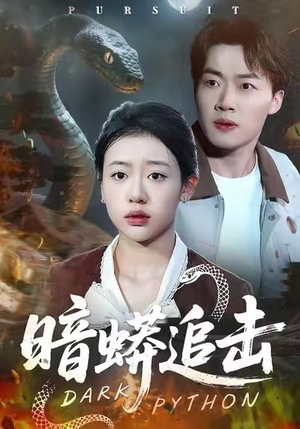 暗蟒追击（35集）超级好看的短剧