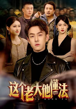这个老大他懂法（100集）好看的短剧电影