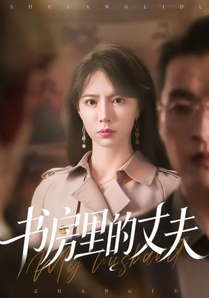 书房里的丈夫（100集）第二季
