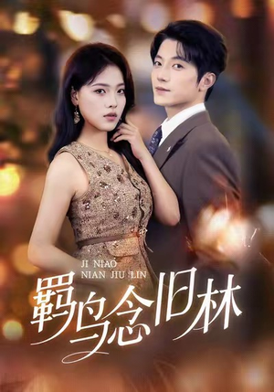 羁鸟念旧林（60集）每日分享短剧