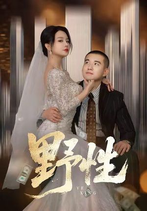 野性（70集）好看短剧看不停