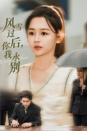 风雪过后你我永别（51集）夸克网盘观看