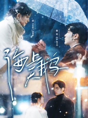 海上天鹅（70集）番茄免费短剧