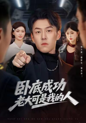 卧底成功老大可是我的人（99集）熬夜追短剧