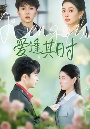 爱逢其时（47集）在线看到大结局