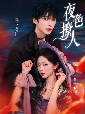 夜色撩人（76集）怎么看全集