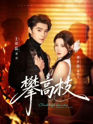 攀高枝（70集）热门短剧追不停