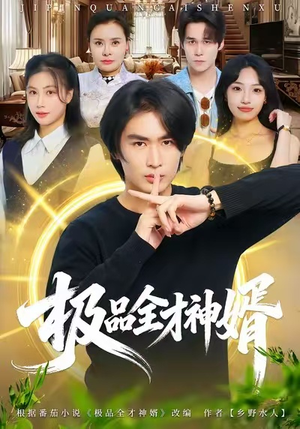 极品全才神婿（67集）在线看
