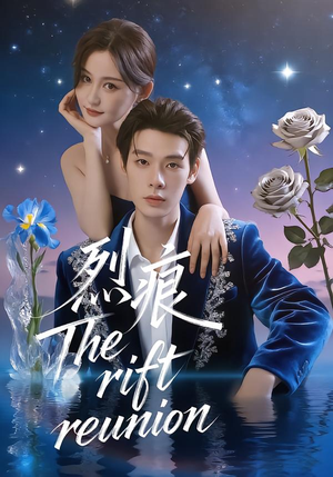 烈痕(35集) 烈痕(35集)真的太精彩了