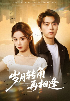 岁月转角再相逢（80集）短剧看全集