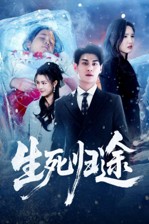 生死归途(50集) 生死归途(50集)全集下载